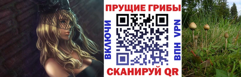 продажа наркотиков  Гусь-Хрустальный  Псилоцибиновые грибы прущие грибы 