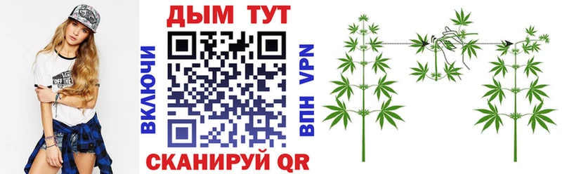 Канабис гибрид  Гусь-Хрустальный 